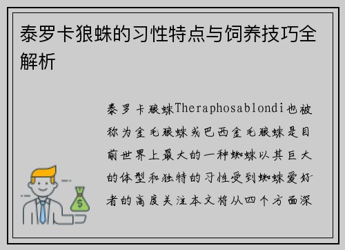 泰罗卡狼蛛的习性特点与饲养技巧全解析